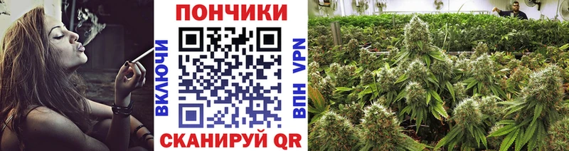 блэк спрут зеркало  Вытегра  Марихуана White Widow 